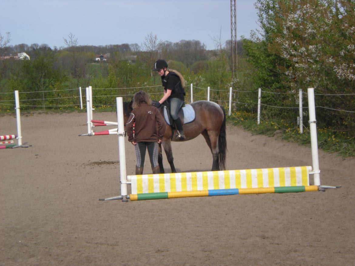 Anden særlig race Siegårds Forglemmigej *Glimmer* 2009-? - Foto af min morfar :P billede 15