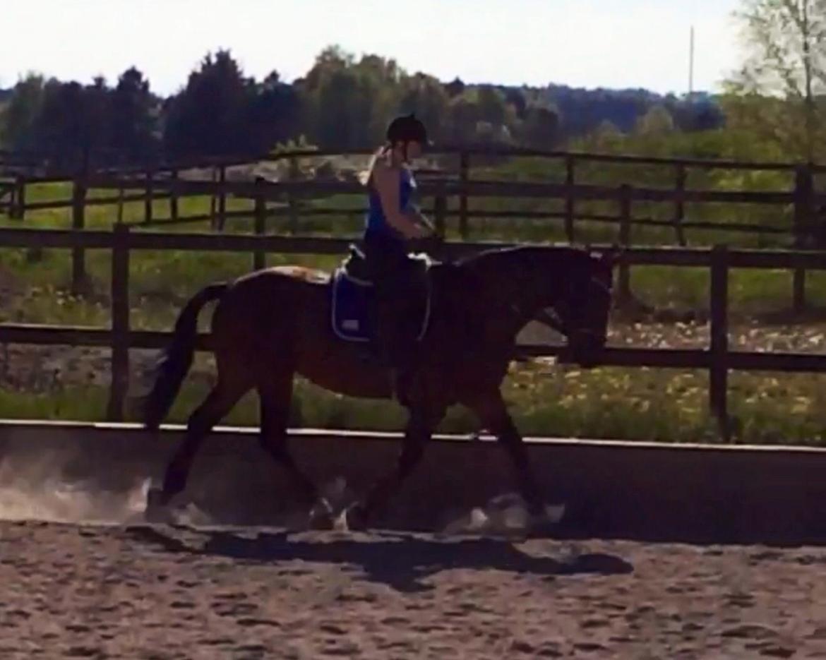 Oldenborg Krattetings Tresornell billede 2