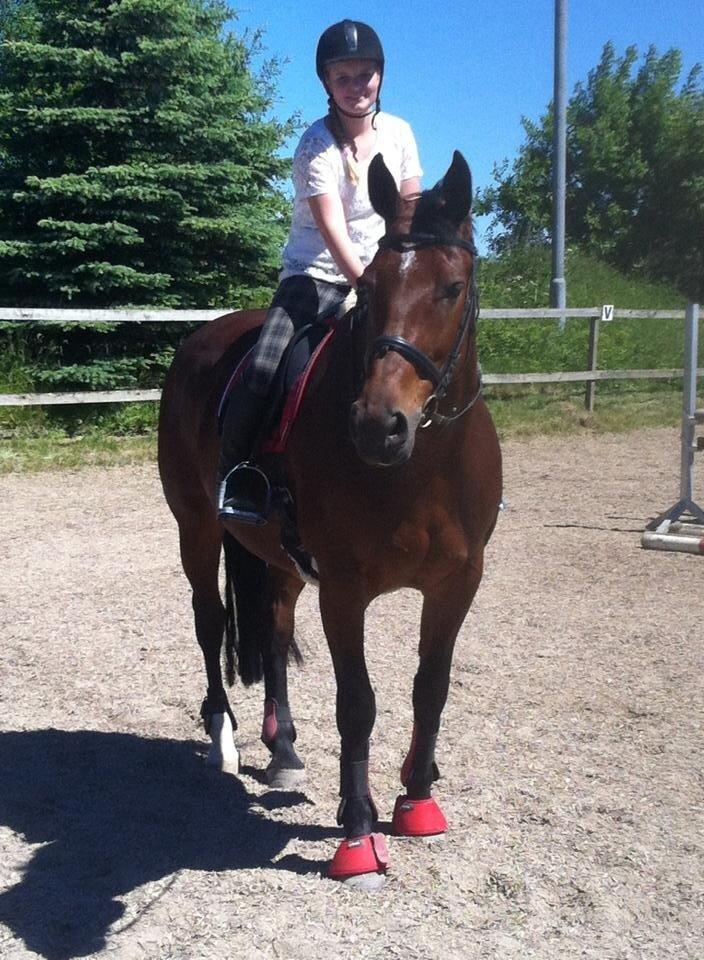 Oldenborg Krattetings Tresornell billede 3