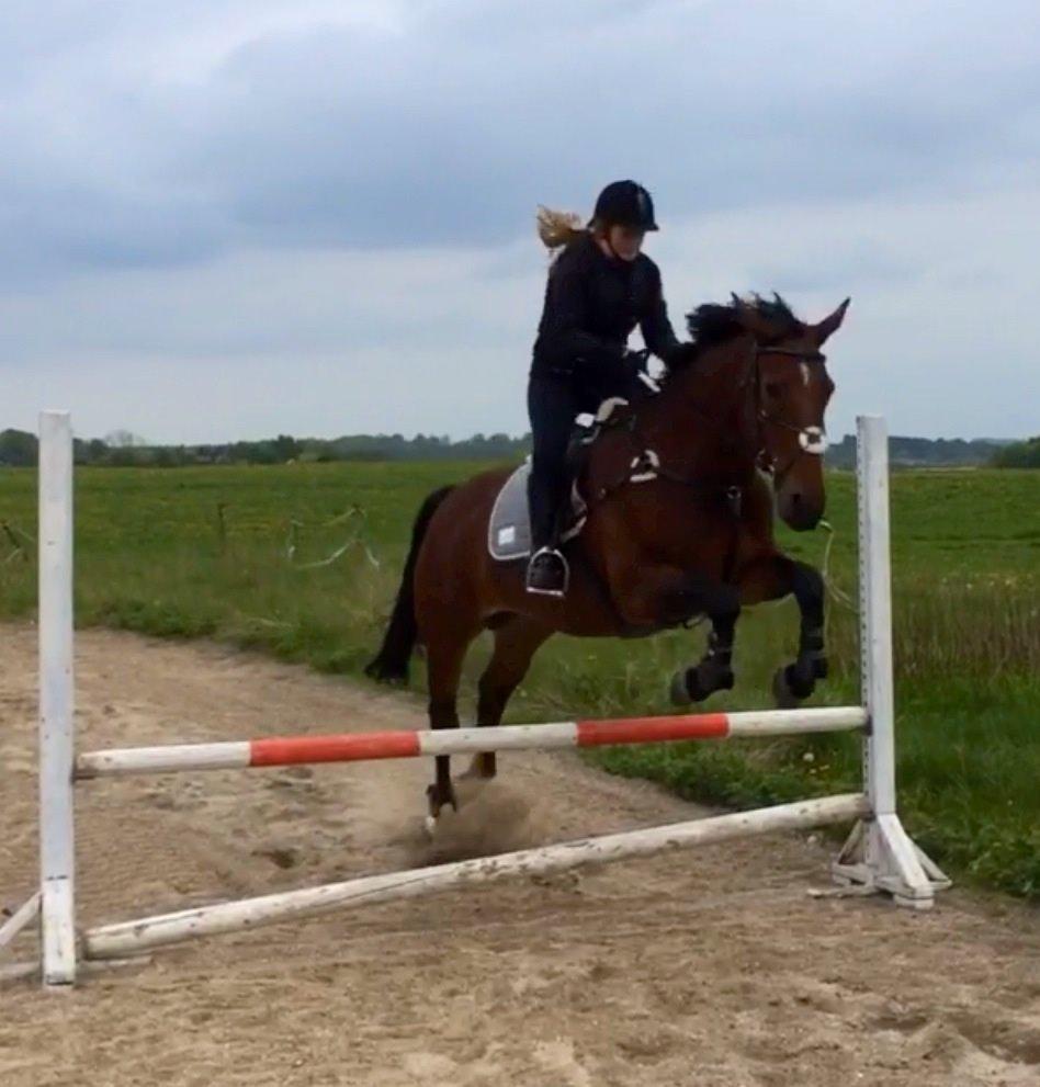 Oldenborg Krattetings Tresornell billede 13