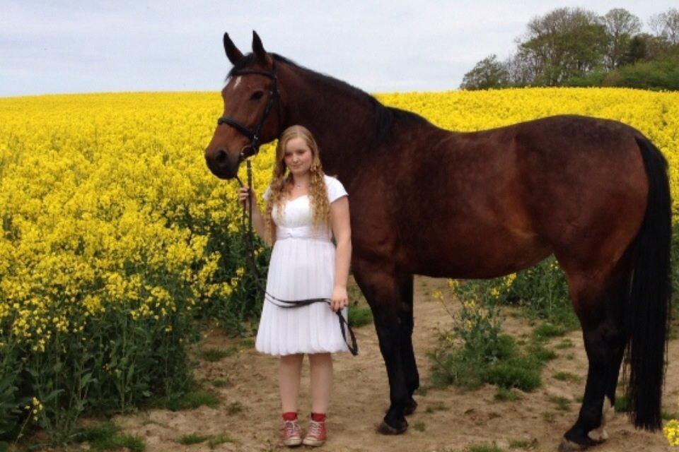 Oldenborg Krattetings Tresornell billede 11