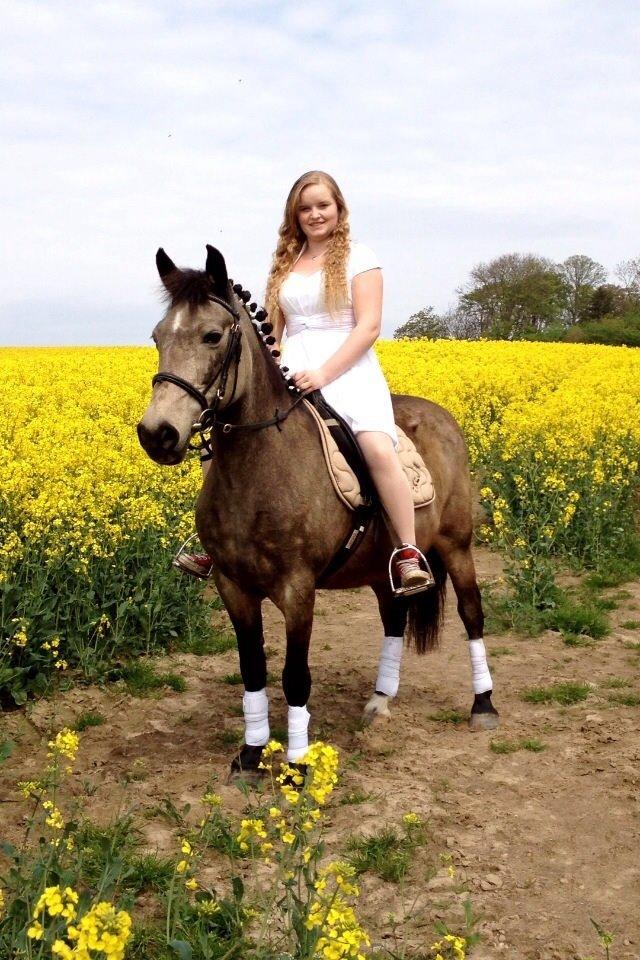 Anden særlig race Freja billede 3