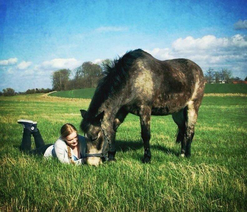 Anden særlig race Freja billede 8