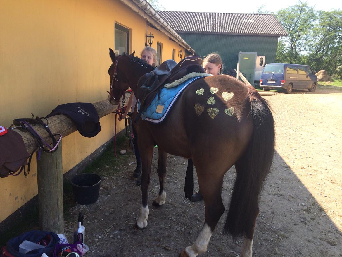 Tysk Sportspony Nike  - STJERNEPONY!! billede 20