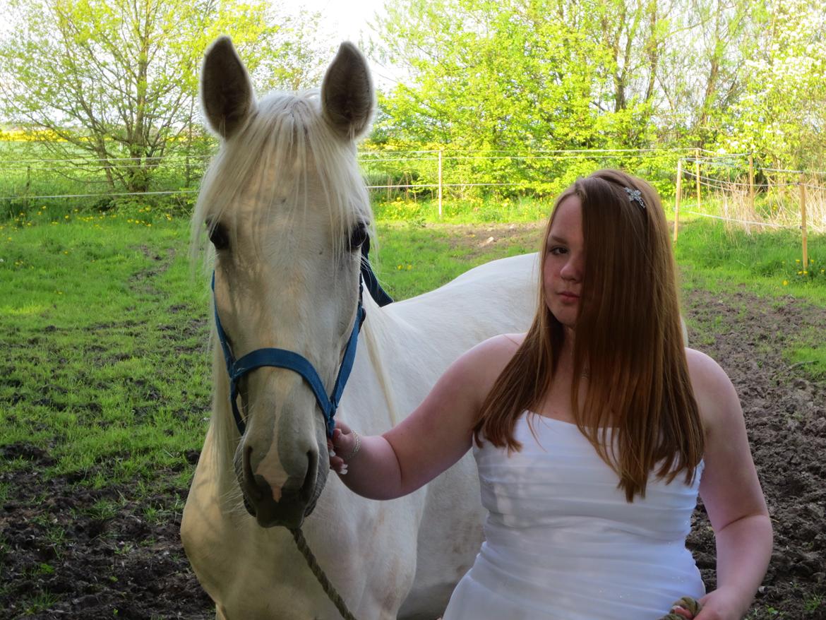 Palomino MiTho`s Diablo Blanco billede 36