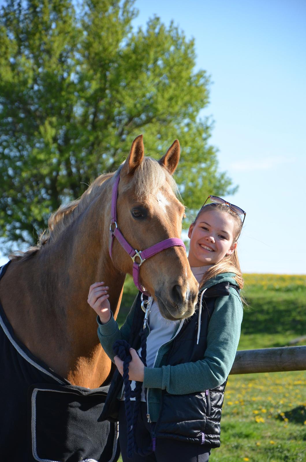 Hollandsk Sportspony Golden Star * B-pony* - Min skat! Så glad for du er min! billede 19