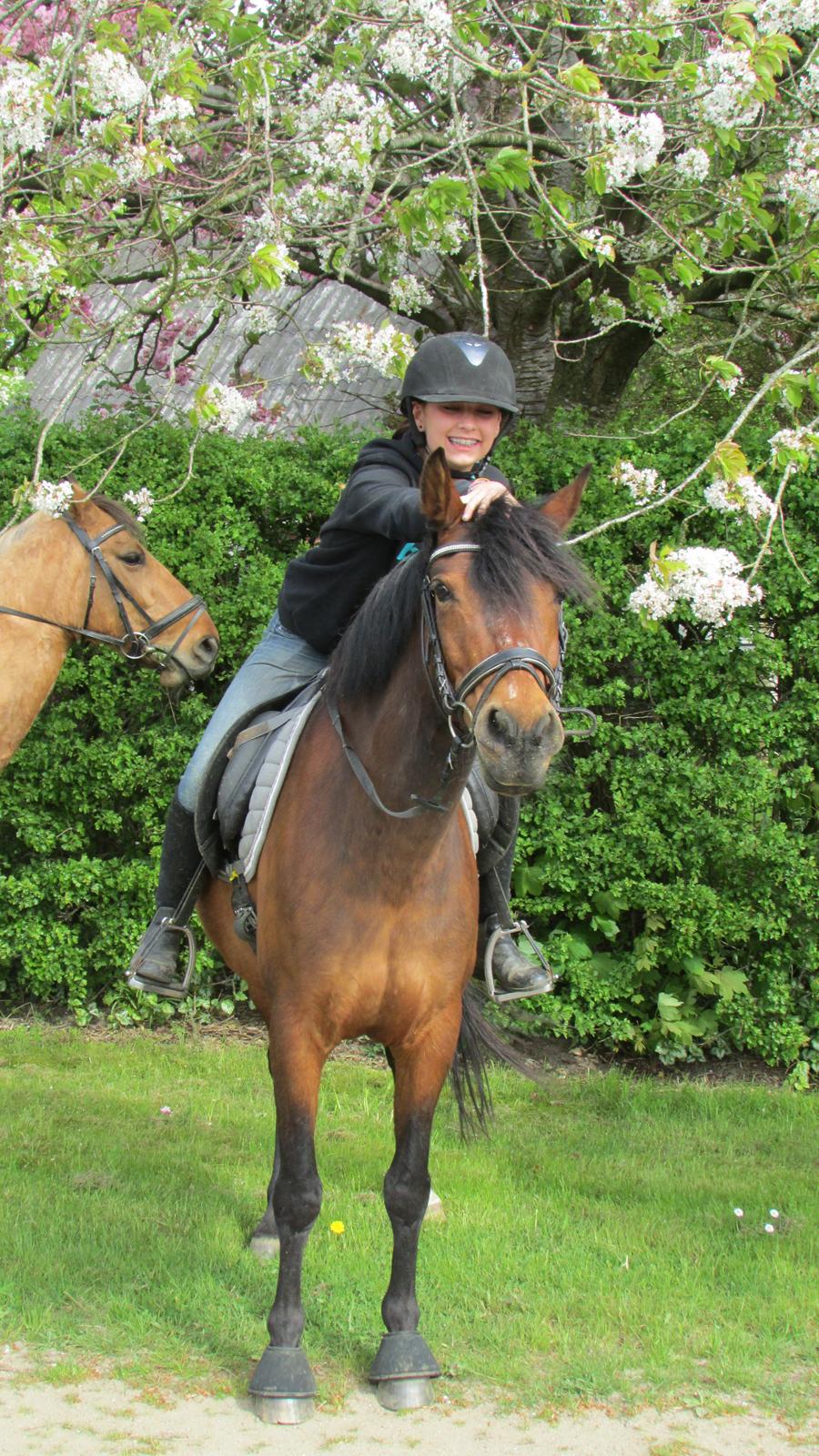 Anden særlig race Bonnie billede 8