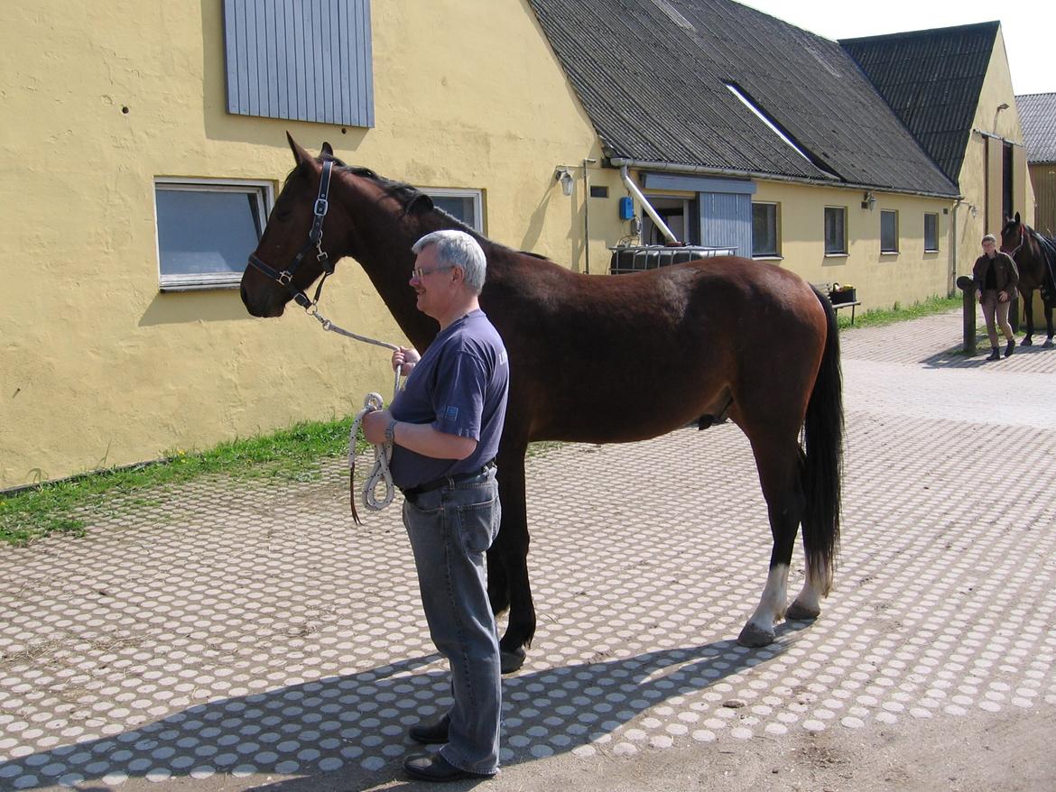 Oldenborg Muhlegaardens Viktor - Henning står med Viktor. billede 7