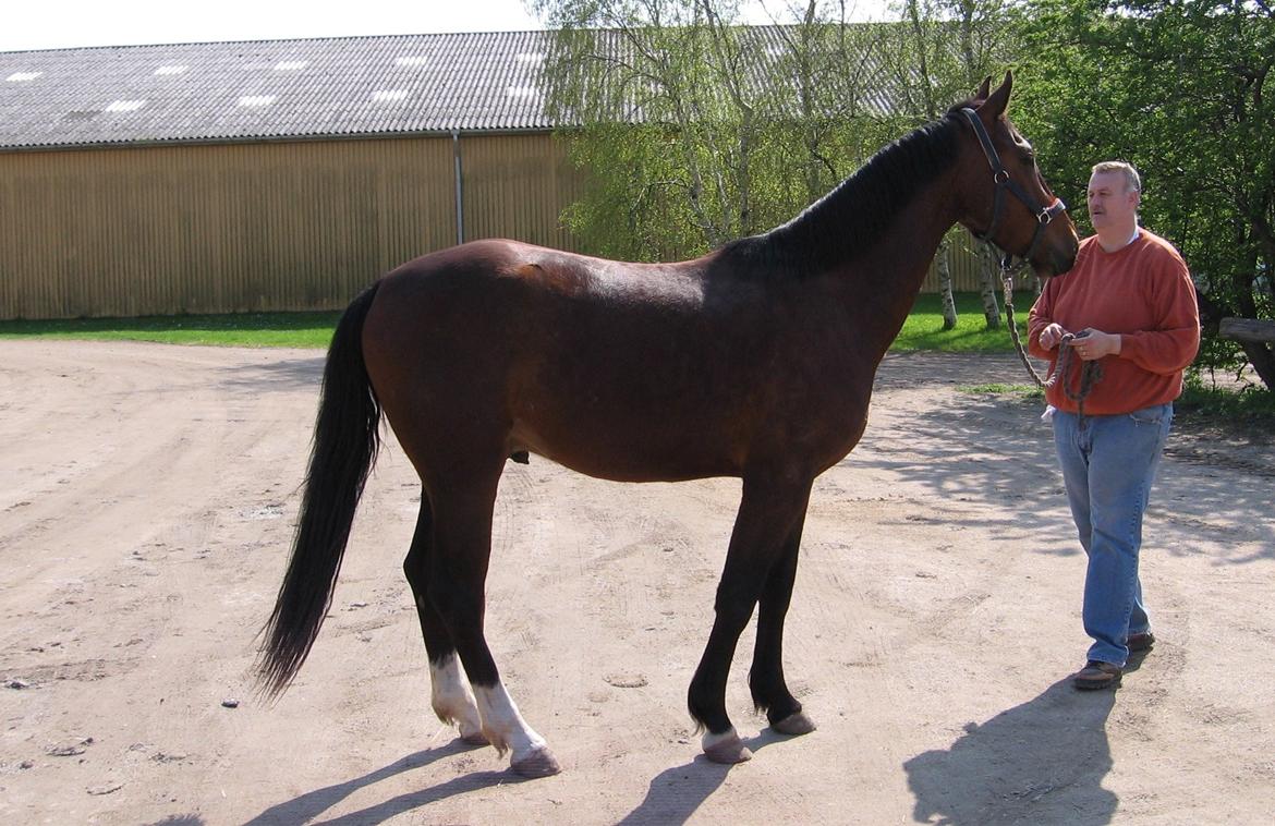 Oldenborg Muhlegaardens Viktor - Her er jeg med min skattebasse :) billede 8