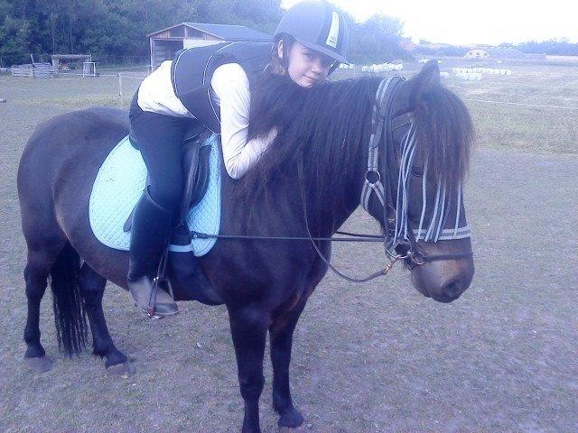 Anden særlig race Sölvi tideligere Ismeal billede 15