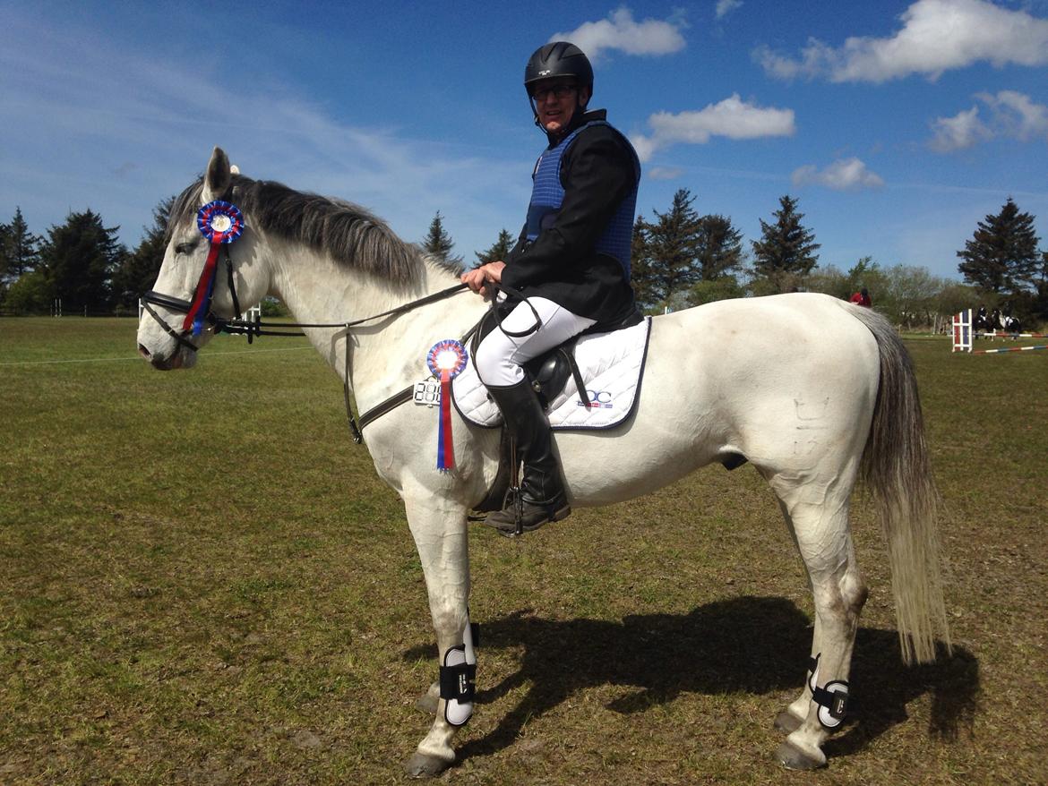 Dansk Varmblod catano billede 10