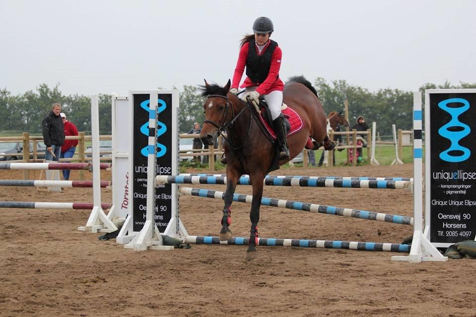 Pinto Lady Taupo (SOLGT) - fine bagben! billede 10