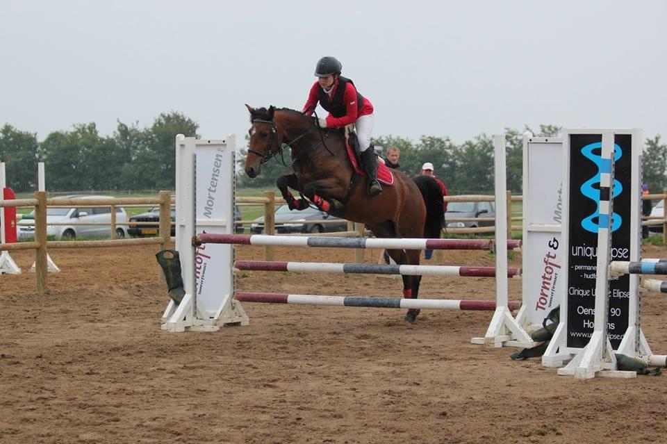 Pinto Lady Taupo (SOLGT) - hopsa hop billede 8