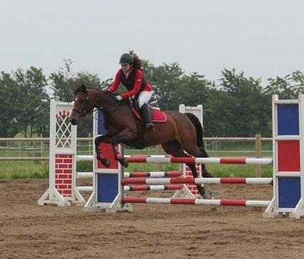 Pinto Lady Taupo (SOLGT) - hun er seeej billede 2