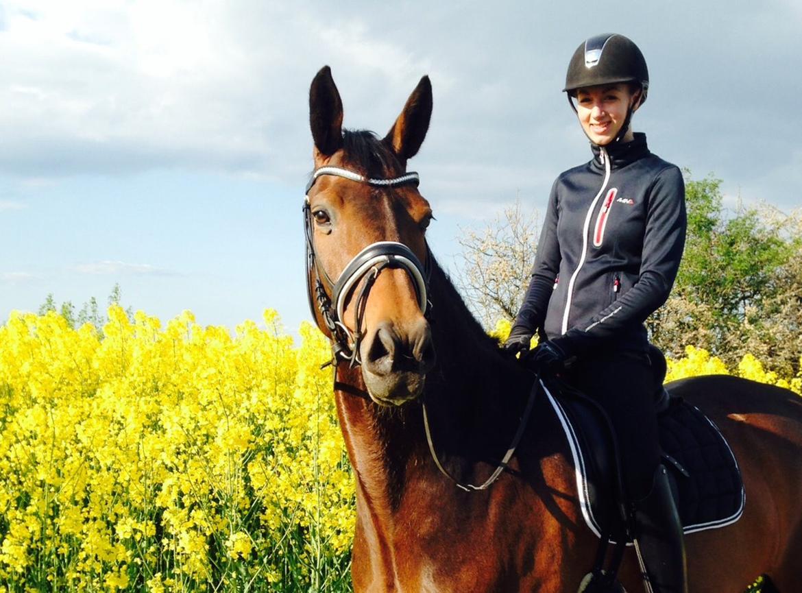 Dansk Varmblod Lertevang´s Ladybird - Nyder foråret med smukke Lady billede 3