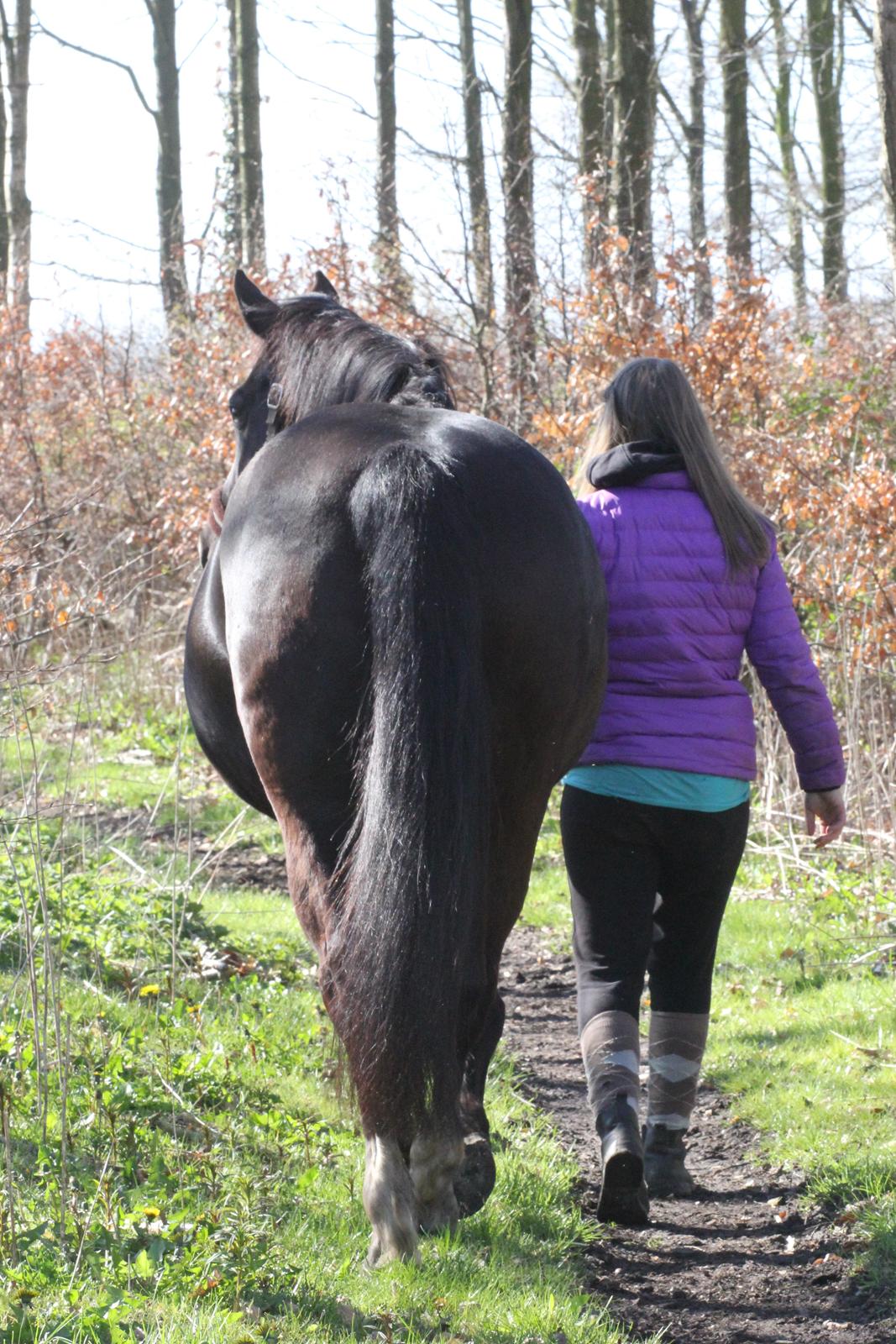 Oldenborg Xenia Ådal [Himmelhest]  - Det er dig og mig for altid<3 I medgang og modgang!<3 Foto: Maibritt billede 18