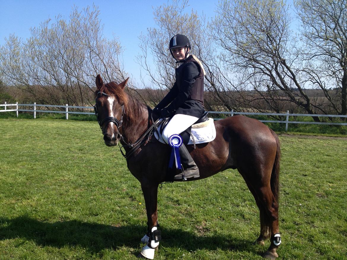 Anden særlig race Siegaard's Achilleus - første spring stævne! LE metode S4 og så en 2 plads! <3 billede 13