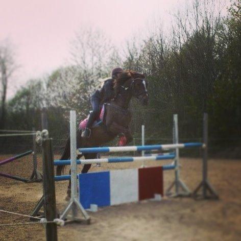 Anden særlig race Siegaard's Achilleus - 115 CM! hold nu kæft pony! du rykker dig helt vildt for hver gang jeg rider dig! <3 billede 2