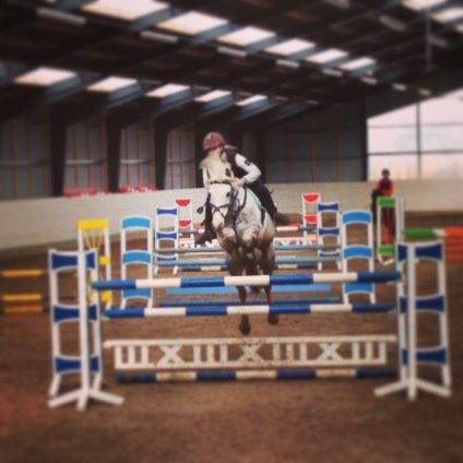 Anden særlig race Rico (nuller) <3 - 130 cm! <3 billede 11