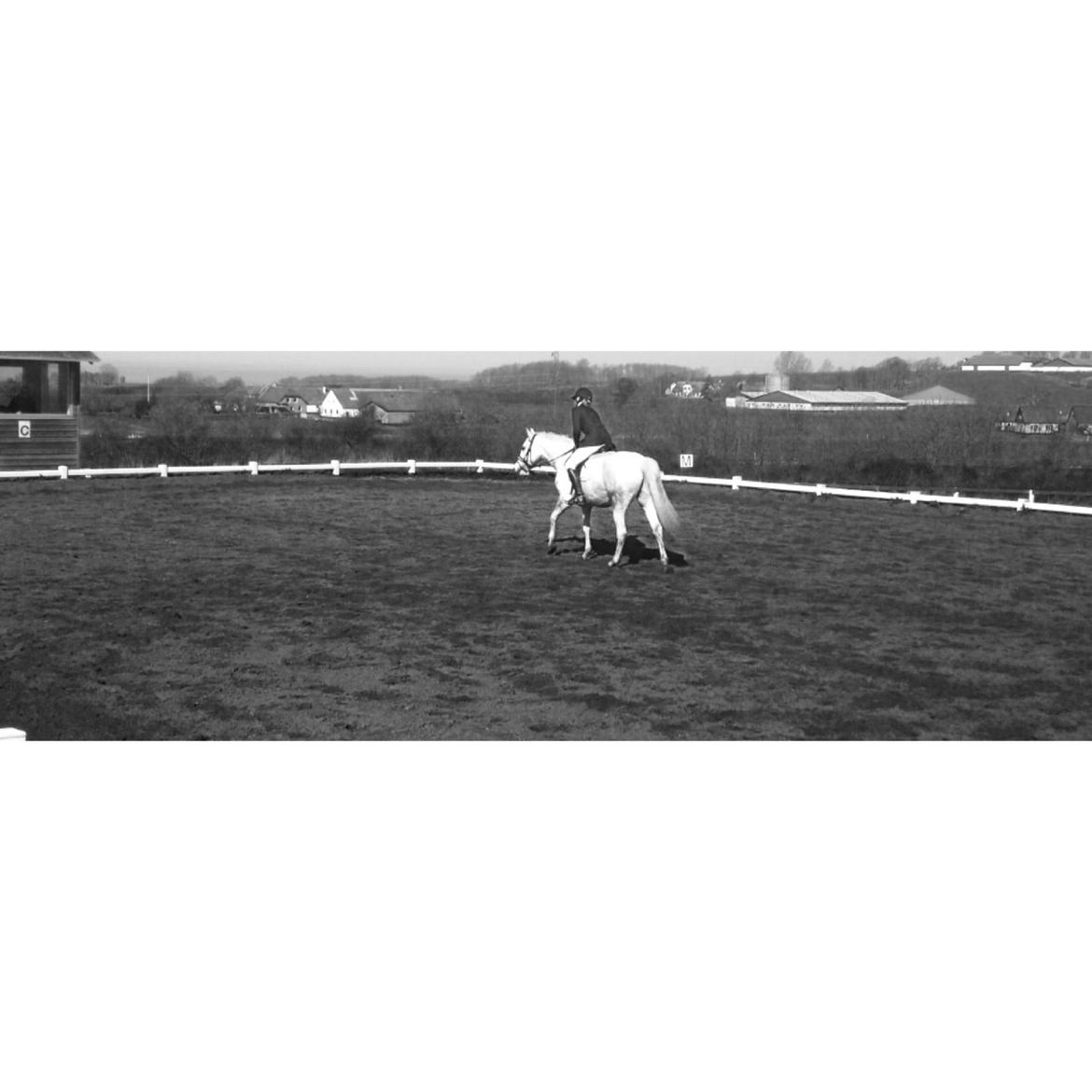 Anden særlig race Rico (nuller) <3 - et billede beskriver mere end tusind ord... <3 billede 15