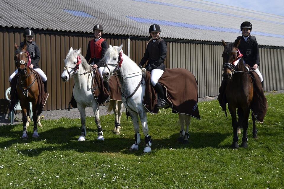 Anden særlig race Rico (nuller) <3 - VNKR cup 2014! med de bedste tøser! <3 billede 13