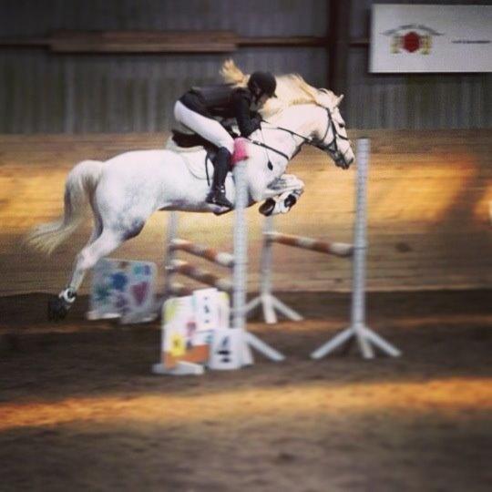 Anden særlig race Rico (nuller) <3 - VNKR cup, den var sej! <3 billede 14