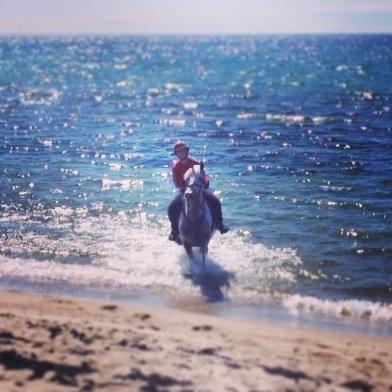 Anden særlig race Rico (nuller) <3 - stranden! <3 billede 17