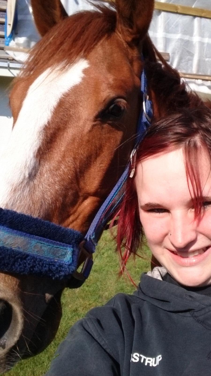 Fuldblod (XX) Avalon billede 19