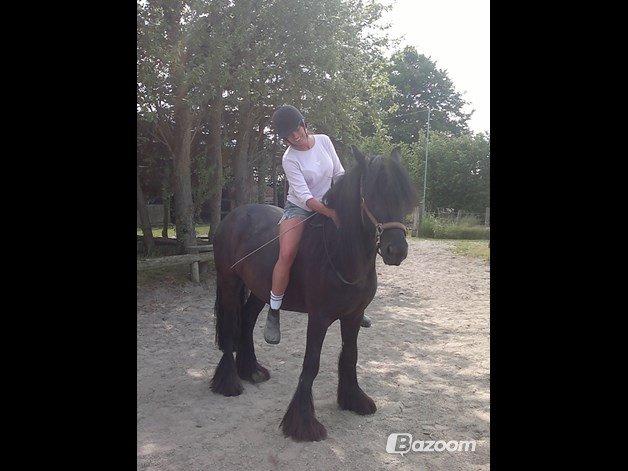 Tinker Bellami - Fra tidl. ejer. billede 1