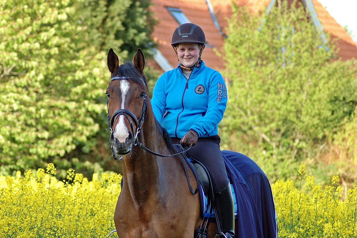 Dansk Varmblod Camarro SR billede 15