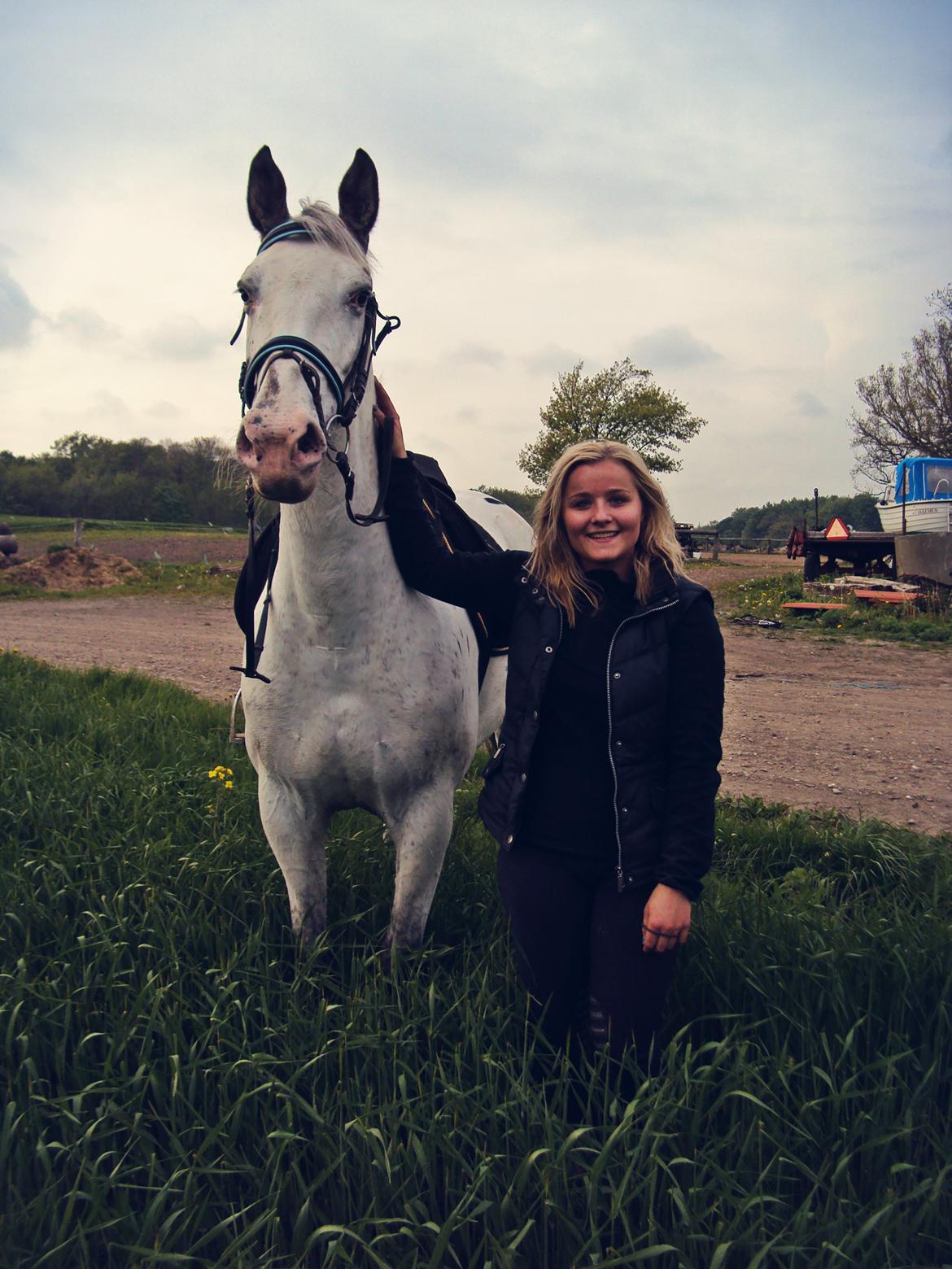 Knabstrupper Belle (Pippi) billede 13