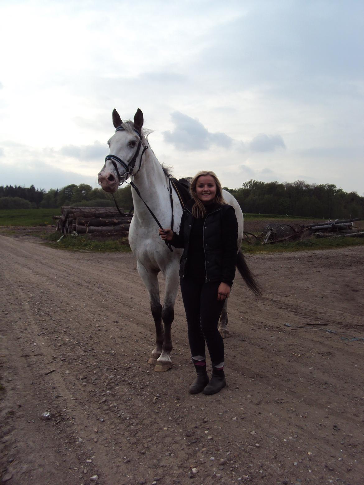 Knabstrupper Belle (Pippi) billede 11