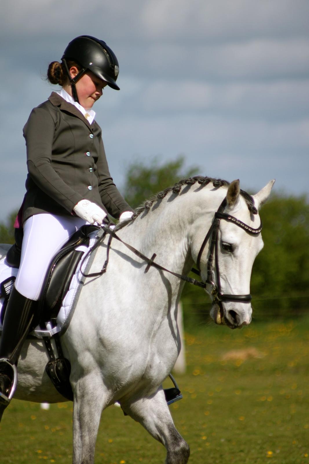 DSP BAKKEGAARDENS TRIPLE PERFECT billede 16