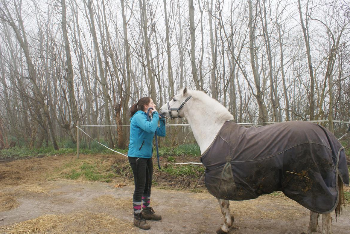 Anden særlig race Lukke<3 *pony<3* billede 18