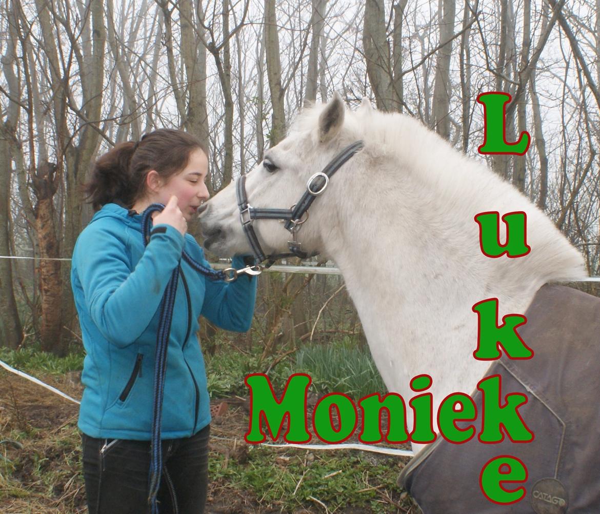 Anden særlig race Lukke<3 *pony<3* billede 27