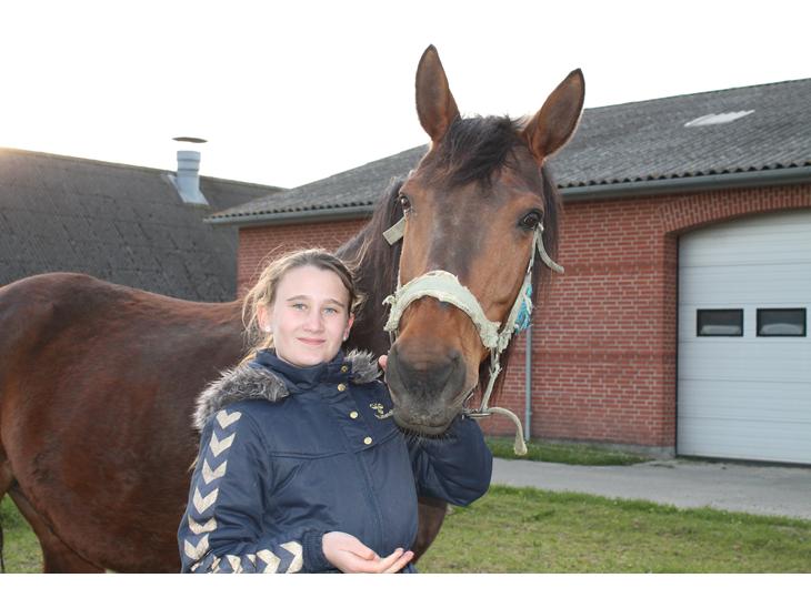 {{currentPhoto.altText}} billede {{currentPhoto.number}}