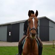 Anden særlig race Ratata (PART) <3 :D