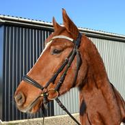 Anden særlig race Ratata (PART) <3 :D