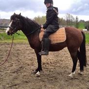 Anden særlig race Rubina <3