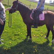 Anden særlig race Rubina <3