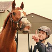 Frederiksborg † Baron Hovvang †