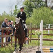 Holstener Laurbergs Company