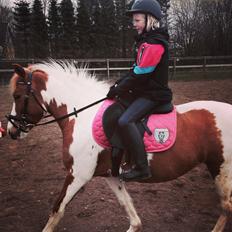 Anden særlig race Mille