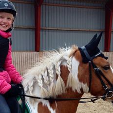 Anden særlig race Mille