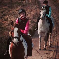 DSP Nørlunds Sunbeam