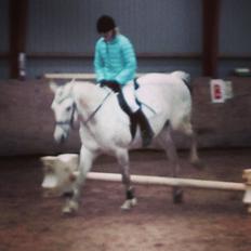 DSP Nørlunds Sunbeam