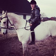 DSP Nørlunds Sunbeam