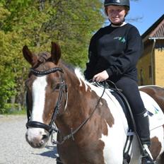 Pinto Handson/Flødebollen<3
