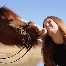 Anden særlig race Ponyen Pixie