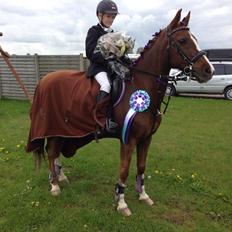 DSP | Night-Girl [ Red ] Solgt.